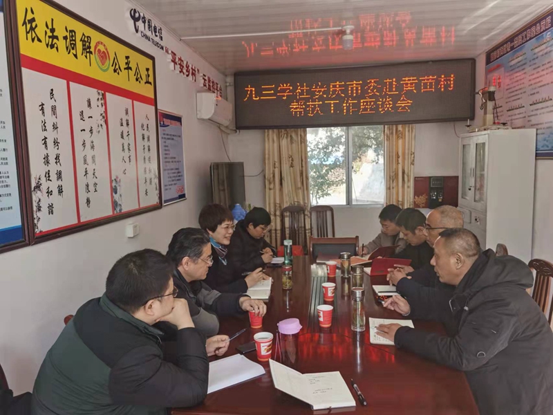 九三学社安庆市委赴黄苗村调研指导乡村振兴工作.jpg